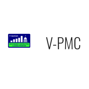V-Project Management Consulting